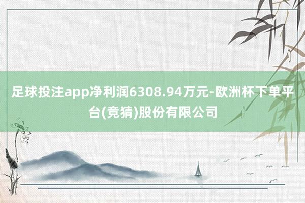 足球投注app净利润6308.94万元-欧洲杯下单平台(竞猜)股份有限公司