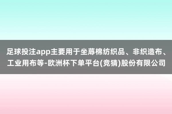 足球投注app主要用于坐蓐棉纺织品、非织造布、工业用布等-欧洲杯下单平台(竞猜)股份有限公司