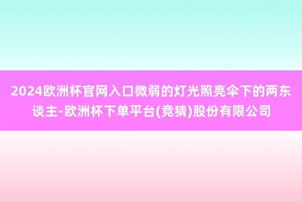 2024欧洲杯官网入口微弱的灯光照亮伞下的两东谈主-欧洲杯下单平台(竞猜)股份有限公司