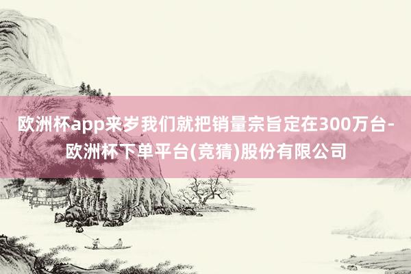 欧洲杯app来岁我们就把销量宗旨定在300万台-欧洲杯下单平台(竞猜)股份有限公司