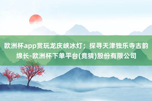 欧洲杯app赏玩龙庆峡冰灯；探寻天津独乐寺古韵绵长-欧洲杯下单平台(竞猜)股份有限公司