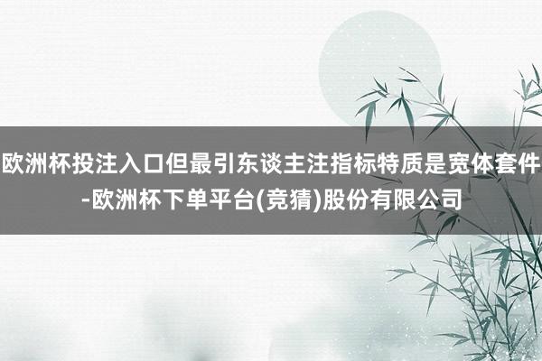 欧洲杯投注入口但最引东谈主注指标特质是宽体套件-欧洲杯下单平台(竞猜)股份有限公司