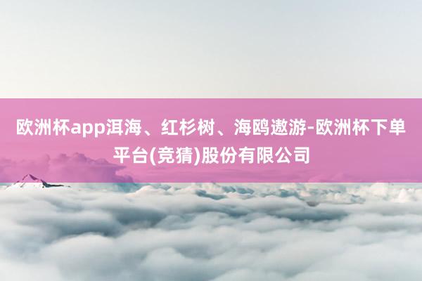 欧洲杯app洱海、红杉树、海鸥遨游-欧洲杯下单平台(竞猜)股份有限公司