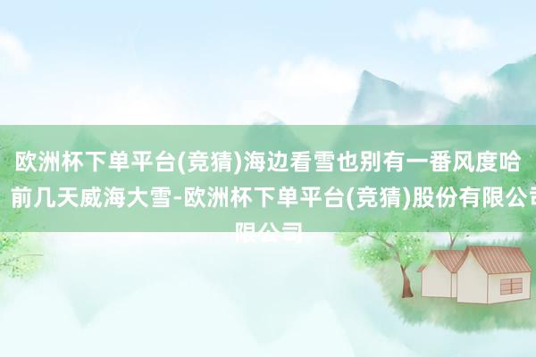 欧洲杯下单平台(竞猜)海边看雪也别有一番风度哈！前几天威海大雪-欧洲杯下单平台(竞猜)股份有限公司