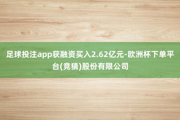 足球投注app获融资买入2.62亿元-欧洲杯下单平台(竞猜)股份有限公司