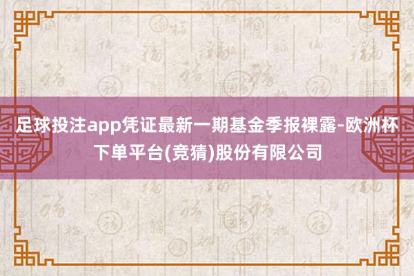 足球投注app凭证最新一期基金季报裸露-欧洲杯下单平台(竞猜)股份有限公司