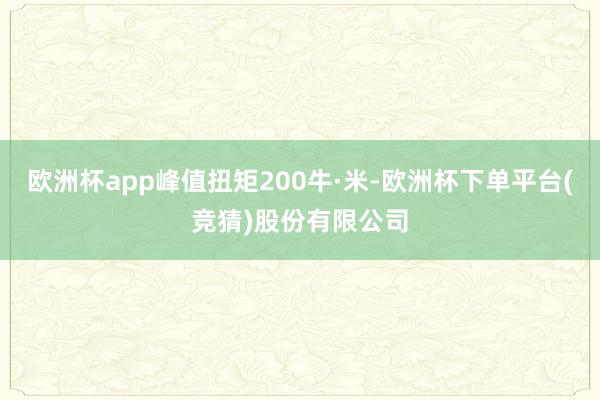 欧洲杯app峰值扭矩200牛·米-欧洲杯下单平台(竞猜)股份有限公司