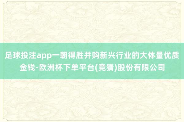 足球投注app一朝得胜并购新兴行业的大体量优质金钱-欧洲杯下单平台(竞猜)股份有限公司