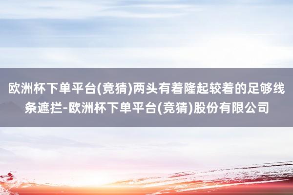 欧洲杯下单平台(竞猜)两头有着隆起较着的足够线条遮拦-欧洲杯下单平台(竞猜)股份有限公司