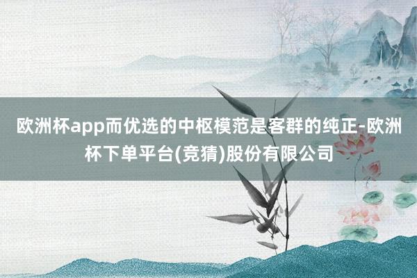 欧洲杯app而优选的中枢模范是客群的纯正-欧洲杯下单平台(竞猜)股份有限公司