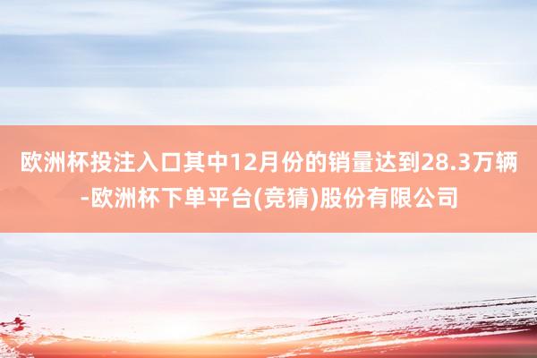 欧洲杯投注入口其中12月份的销量达到28.3万辆-欧洲杯下单平台(竞猜)股份有限公司