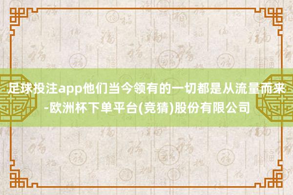 足球投注app他们当今领有的一切都是从流量而来-欧洲杯下单平台(竞猜)股份有限公司