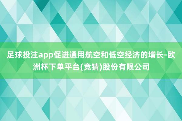 足球投注app促进通用航空和低空经济的增长-欧洲杯下单平台(竞猜)股份有限公司