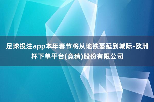 足球投注app本年春节将从地铁蔓延到城际-欧洲杯下单平台(竞猜)股份有限公司