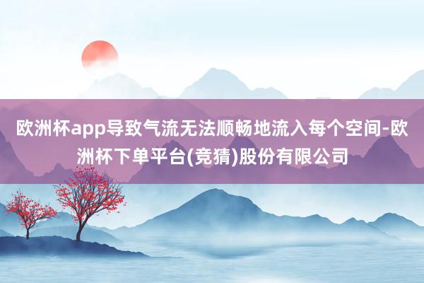 欧洲杯app导致气流无法顺畅地流入每个空间-欧洲杯下单平台(竞猜)股份有限公司