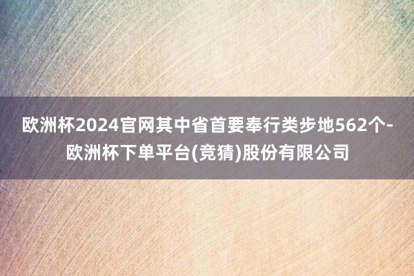 欧洲杯2024官网其中省首要奉行类步地562个-欧洲杯下单平台(竞猜)股份有限公司