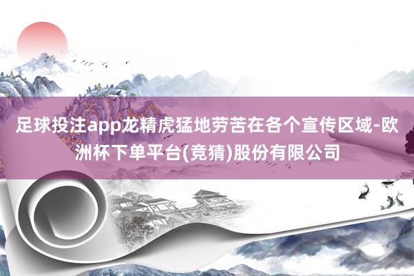 足球投注app龙精虎猛地劳苦在各个宣传区域-欧洲杯下单平台(竞猜)股份有限公司