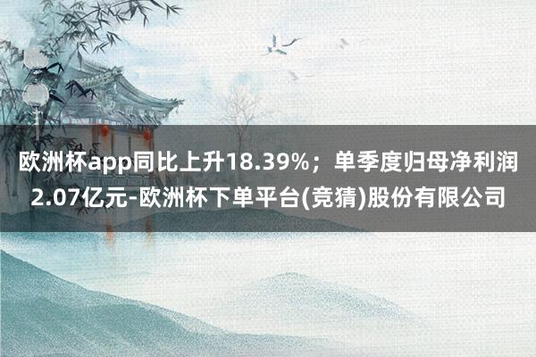 欧洲杯app同比上升18.39%；单季度归母净利润2.07亿元-欧洲杯下单平台(竞猜)股份有限公司