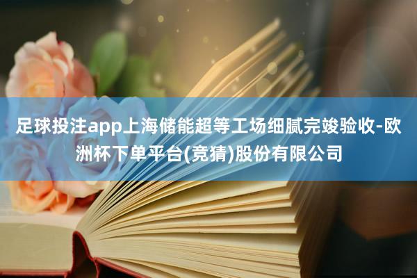 足球投注app上海储能超等工场细腻完竣验收-欧洲杯下单平台(竞猜)股份有限公司