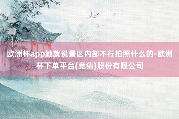 欧洲杯app她就说景区内部不行拍照什么的-欧洲杯下单平台(竞猜)股份有限公司