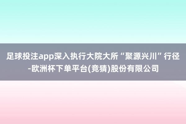 足球投注app深入执行大院大所“聚源兴川”行径-欧洲杯下单平台(竞猜)股份有限公司
