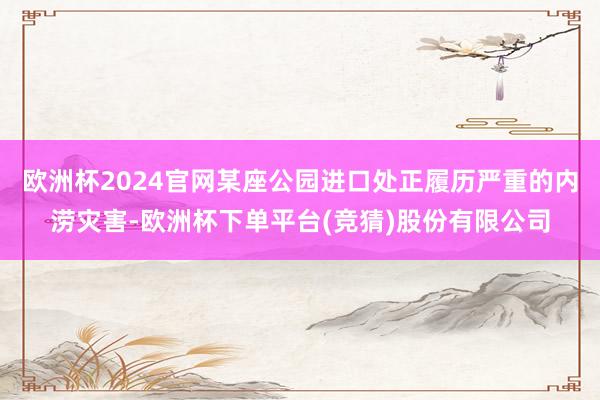 欧洲杯2024官网某座公园进口处正履历严重的内涝灾害-欧洲杯下单平台(竞猜)股份有限公司