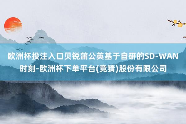 欧洲杯投注入口贝锐蒲公英基于自研的SD-WAN时刻-欧洲杯下单平台(竞猜)股份有限公司