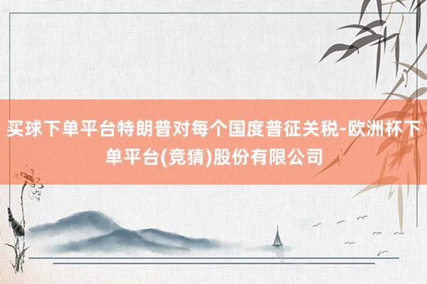 买球下单平台特朗普对每个国度普征关税-欧洲杯下单平台(竞猜)股份有限公司