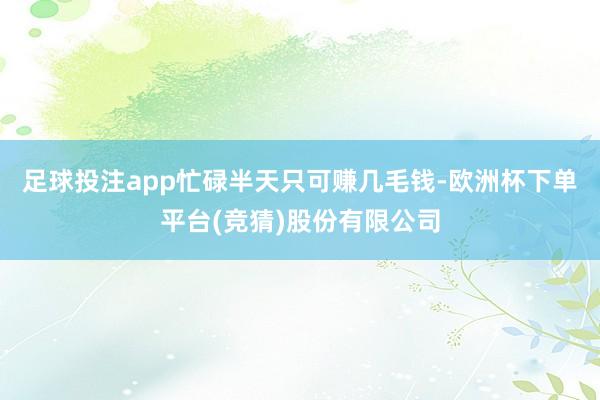 足球投注app忙碌半天只可赚几毛钱-欧洲杯下单平台(竞猜)股份有限公司