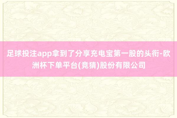足球投注app拿到了分享充电宝第一股的头衔-欧洲杯下单平台(竞猜)股份有限公司