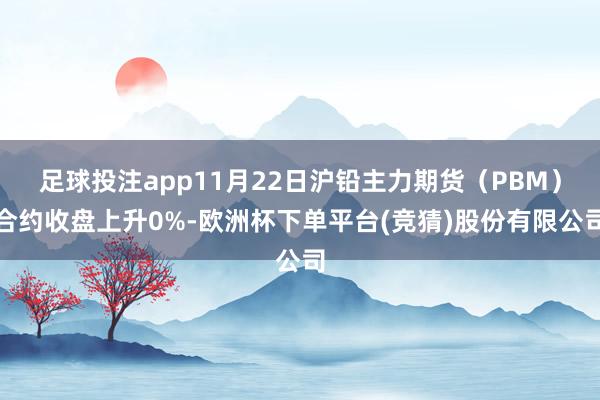 足球投注app11月22日沪铅主力期货（PBM）合约收盘上升0%-欧洲杯下单平台(竞猜)股份有限公司
