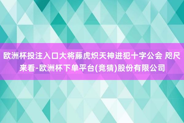 欧洲杯投注入口大将藤虎炽天神进犯十字公会 咫尺来看-欧洲杯下单平台(竞猜)股份有限公司