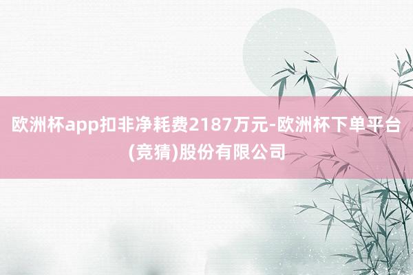 欧洲杯app扣非净耗费2187万元-欧洲杯下单平台(竞猜)股份有限公司
