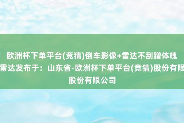欧洲杯下单平台(竞猜)倒车影像+雷达不刮蹭体魄影像雷达发布于：山东省-欧洲杯下单平台(竞猜)股份有限公司