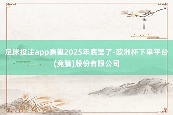 足球投注app瞻望2025年底罢了-欧洲杯下单平台(竞猜)股份有限公司