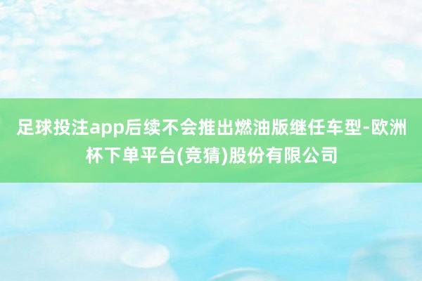 足球投注app后续不会推出燃油版继任车型-欧洲杯下单平台(竞猜)股份有限公司