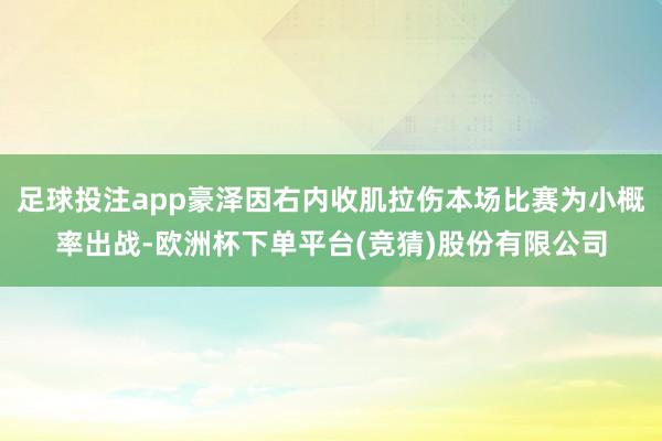 足球投注app豪泽因右内收肌拉伤本场比赛为小概率出战-欧洲杯下单平台(竞猜)股份有限公司
