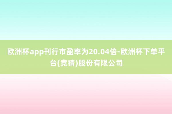 欧洲杯app刊行市盈率为20.04倍-欧洲杯下单平台(竞猜)股份有限公司