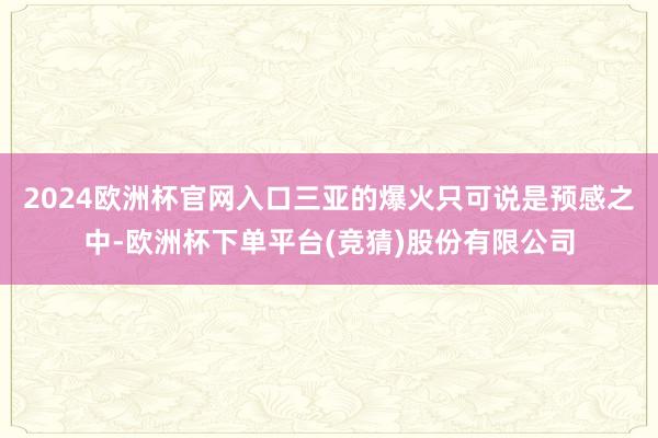2024欧洲杯官网入口三亚的爆火只可说是预感之中-欧洲杯下单平台(竞猜)股份有限公司