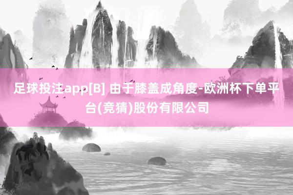 足球投注app[B] 由于膝盖成角度-欧洲杯下单平台(竞猜)股份有限公司