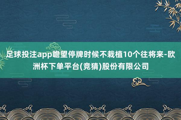 足球投注app瞻望停牌时候不栽植10个往将来-欧洲杯下单平台(竞猜)股份有限公司