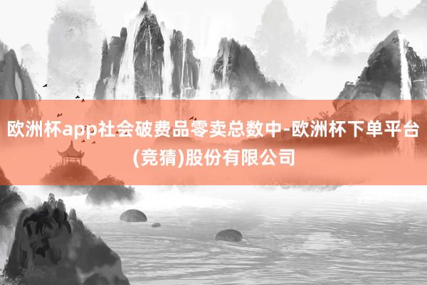 欧洲杯app社会破费品零卖总数中-欧洲杯下单平台(竞猜)股份有限公司