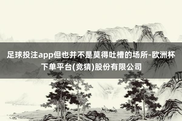 足球投注app但也并不是莫得吐槽的场所-欧洲杯下单平台(竞猜)股份有限公司