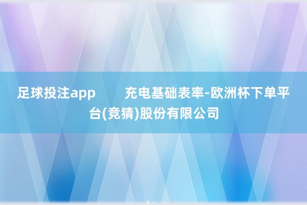 足球投注app        充电基础表率-欧洲杯下单平台(竞猜)股份有限公司