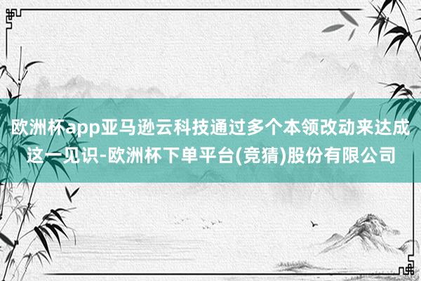 欧洲杯app亚马逊云科技通过多个本领改动来达成这一见识-欧洲杯下单平台(竞猜)股份有限公司