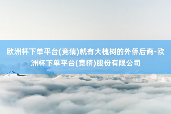 欧洲杯下单平台(竞猜)就有大槐树的外侨后裔-欧洲杯下单平台(竞猜)股份有限公司