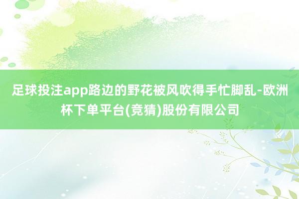 足球投注app路边的野花被风吹得手忙脚乱-欧洲杯下单平台(竞猜)股份有限公司