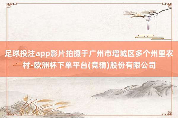 足球投注app影片拍摄于广州市增城区多个州里农村-欧洲杯下单平台(竞猜)股份有限公司