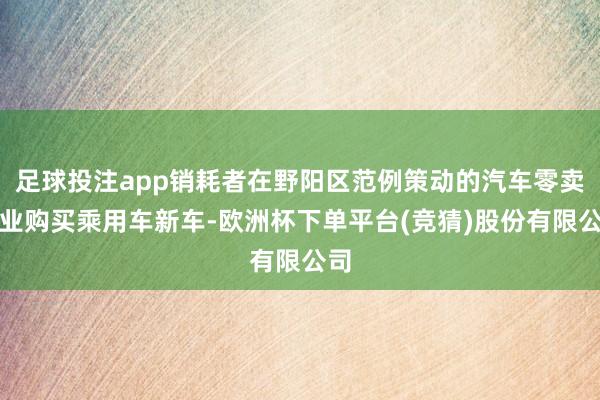 足球投注app销耗者在野阳区范例策动的汽车零卖企业购买乘用车新车-欧洲杯下单平台(竞猜)股份有限公司