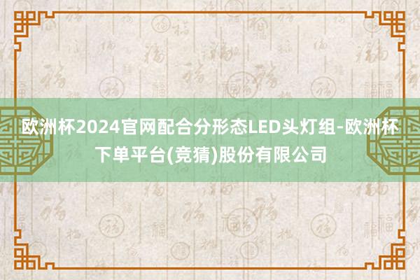 欧洲杯2024官网配合分形态LED头灯组-欧洲杯下单平台(竞猜)股份有限公司